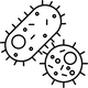Immunsystem